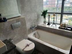 Paterson Suites (D9), Condominium #566726271